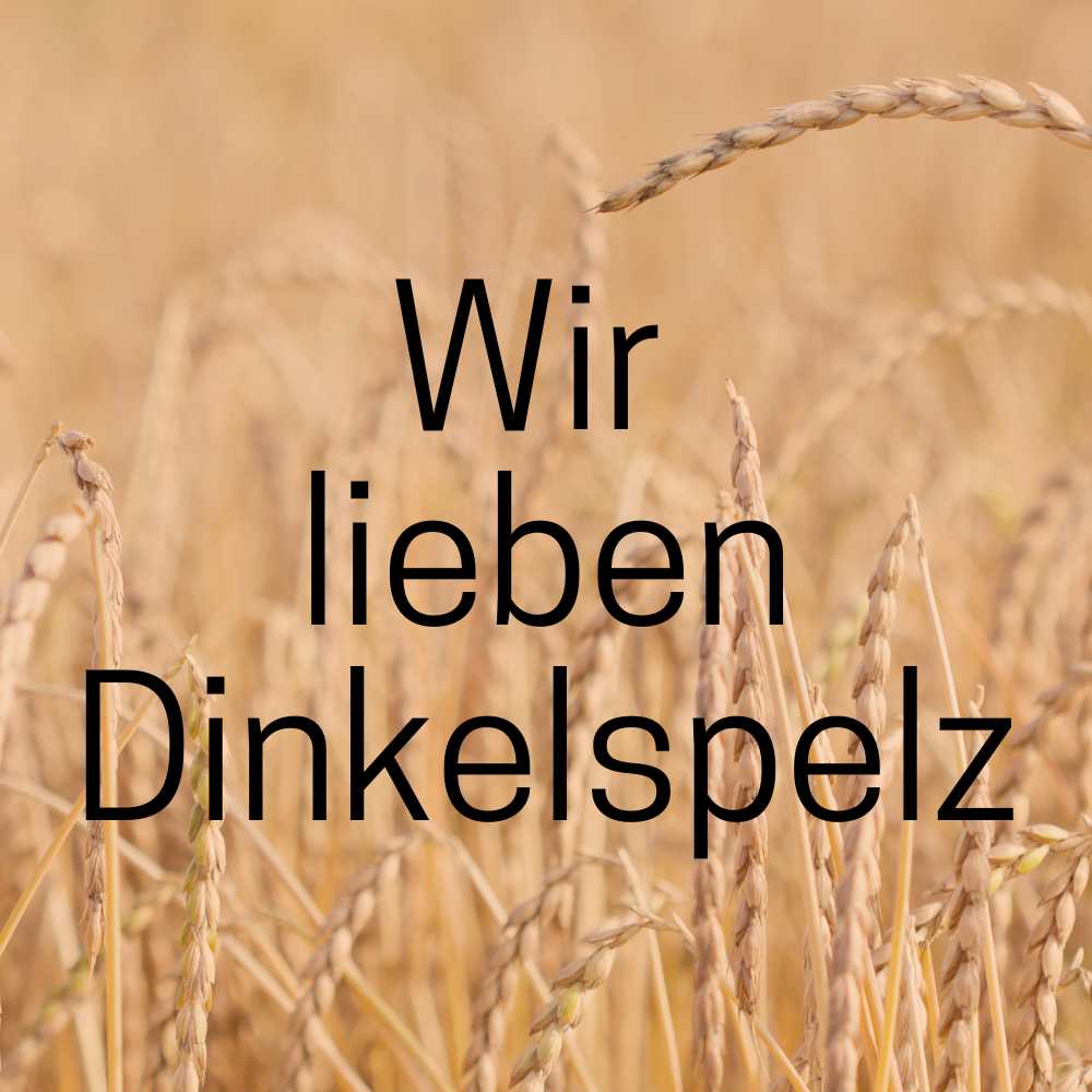 Dinkelspelz als Kissenfüllmaterial Raumtapeterie