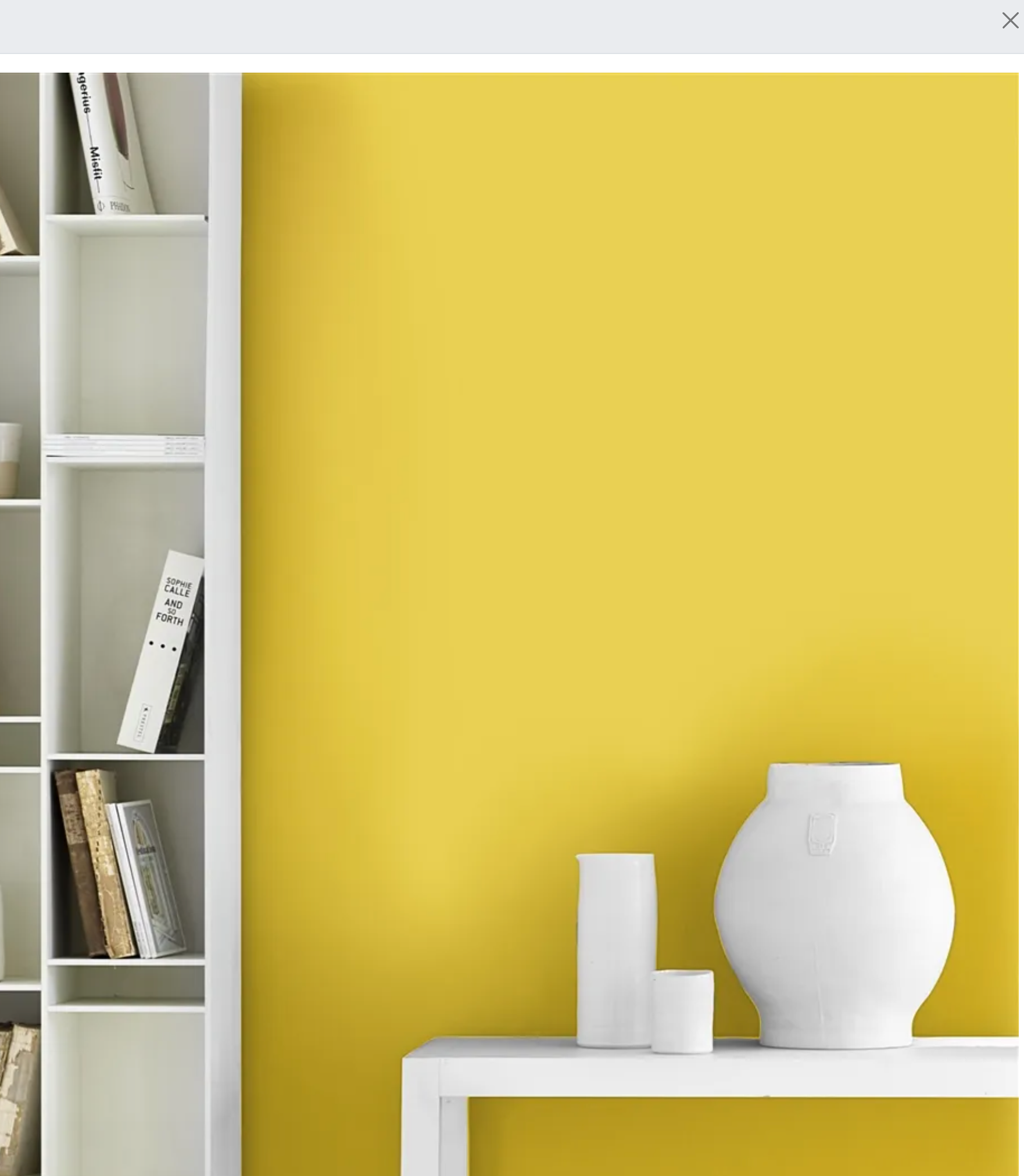 Raumtapeterie Welcher Wandfarben-Typ bist Du? Und Mengen-Rechner für Farbe.