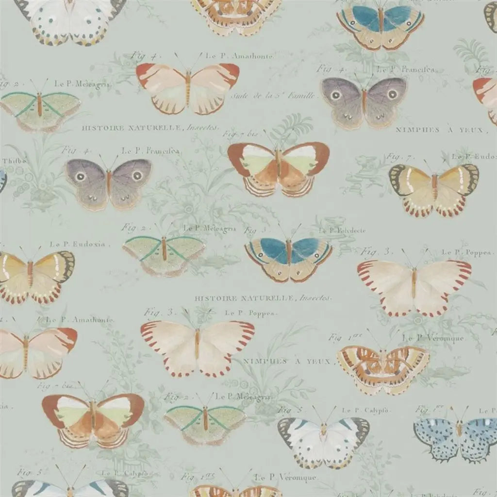 Butterfly Studies Eau de Nil