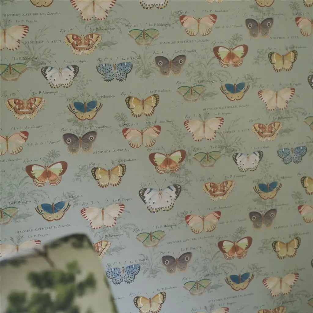 John Derian Butterfly Studies Eau De Nil Designers Guild