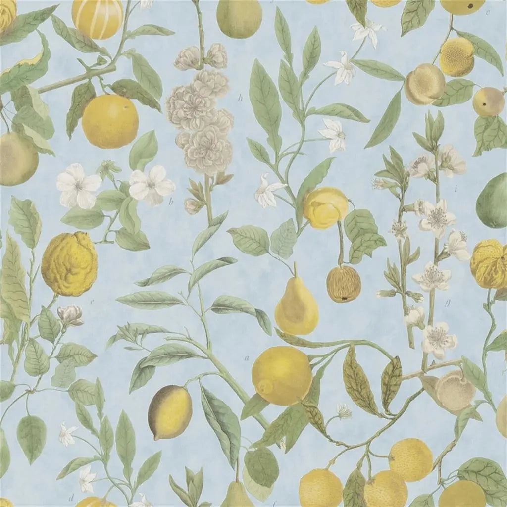 Orchard Fruits Sky Blue