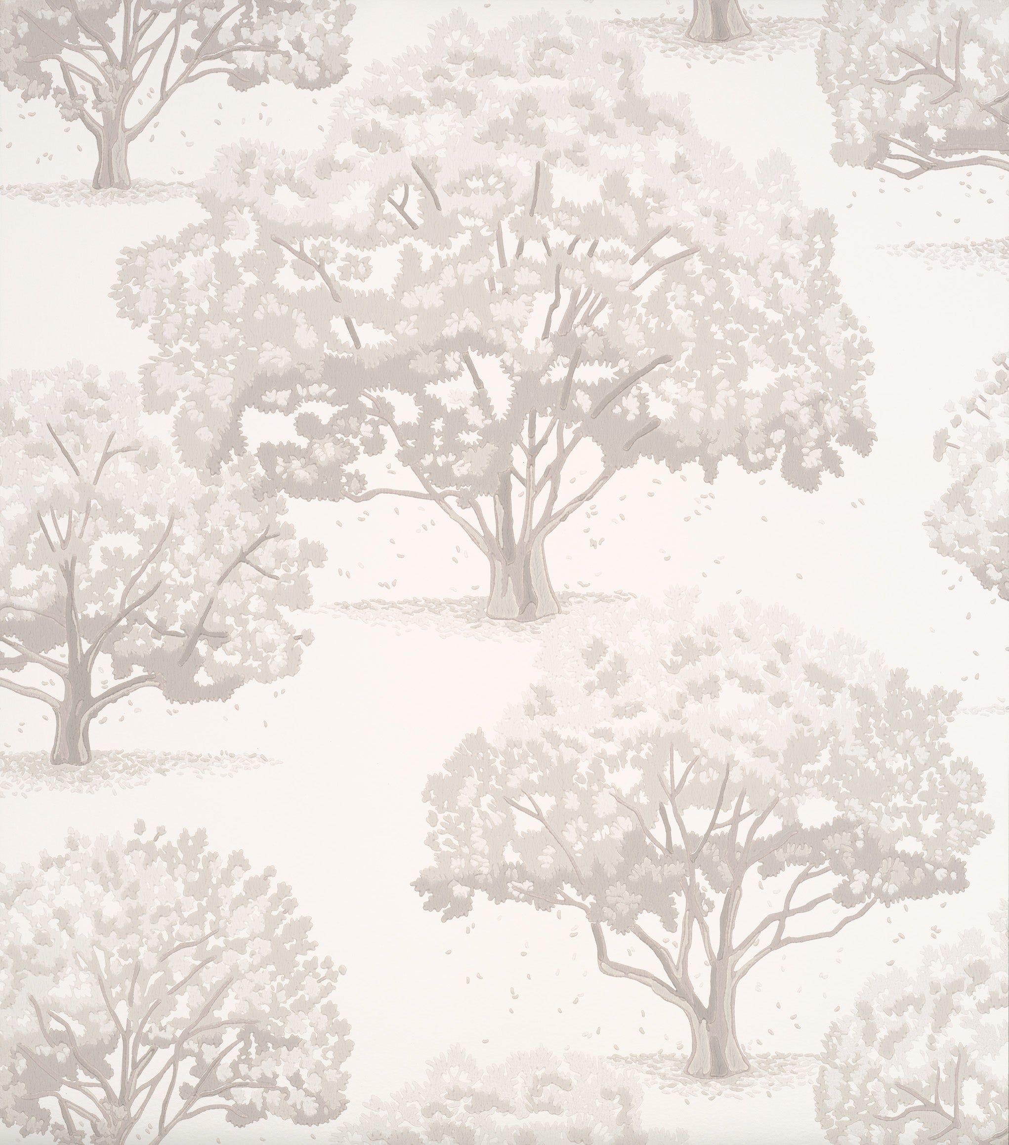 Magnolia Blossom – Magnolien Tapete, elegant & zeitlos - Raumtapeterie