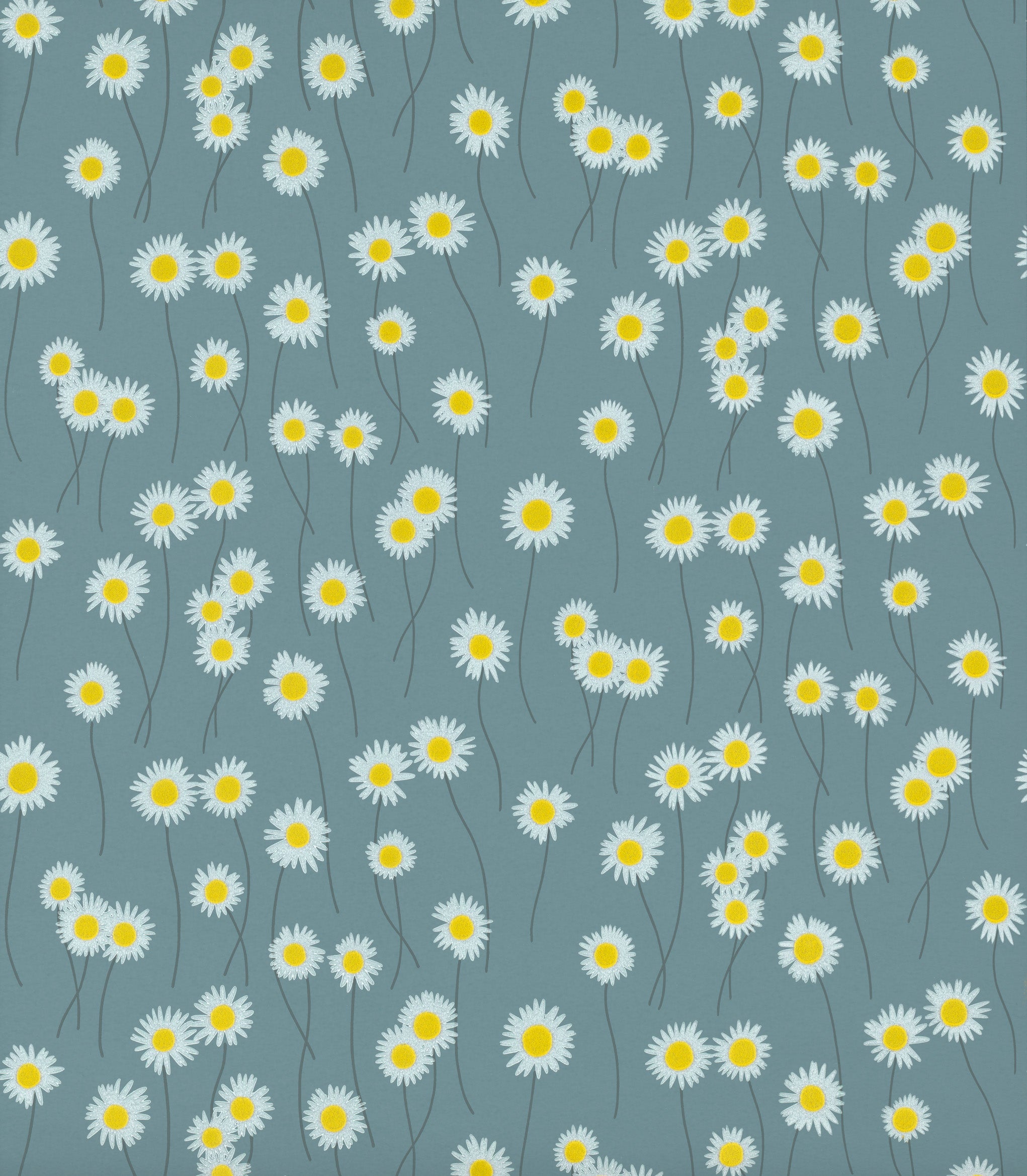 Moon Daisies – Tapete mit Gänseblümchen & Flock (Oxe-Eye Daisy) - Raumtapeterie