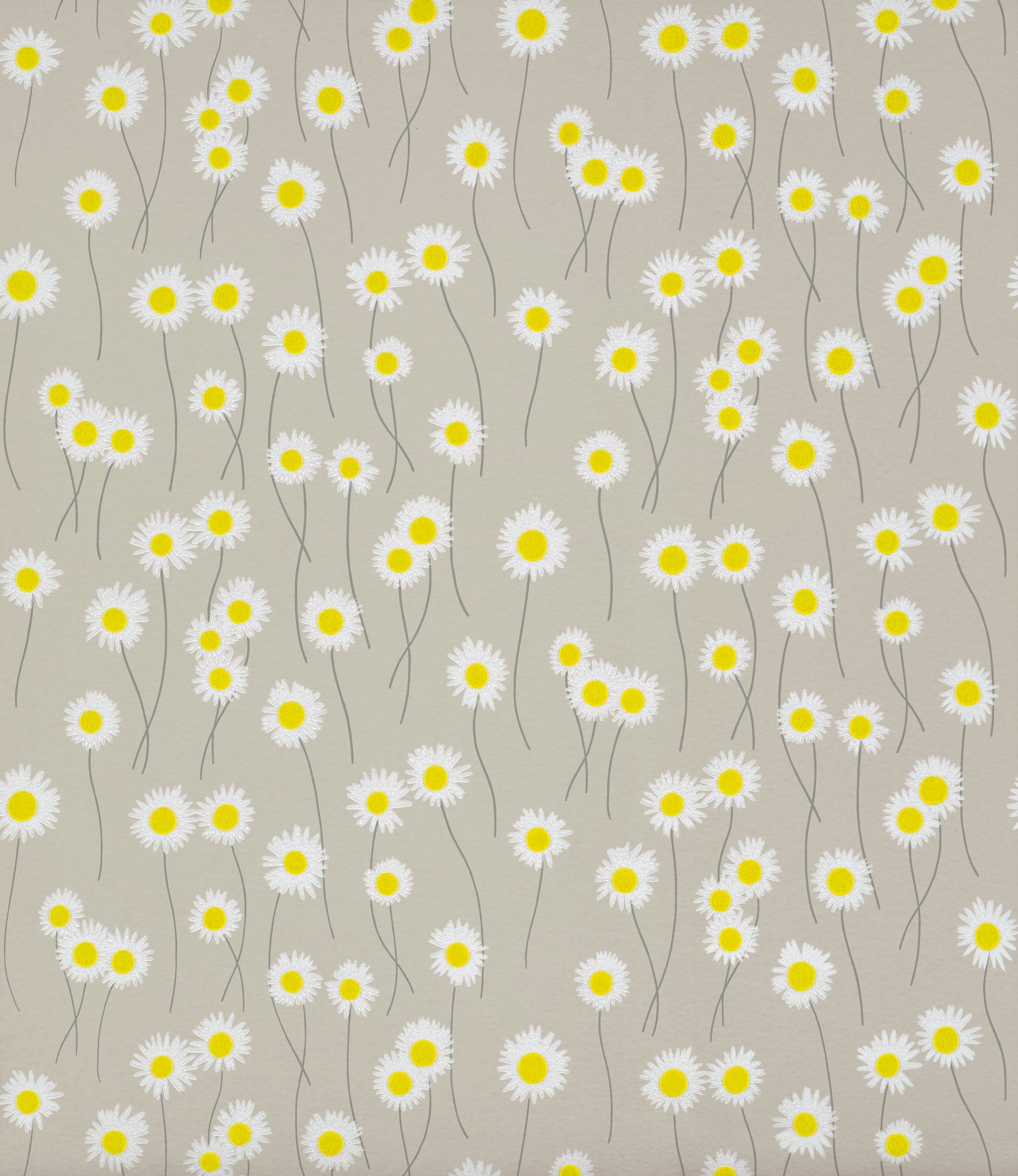 Moon Daisies – Tapete mit Gänseblümchen & Flock (Oxe-Eye Daisy) - Raumtapeterie