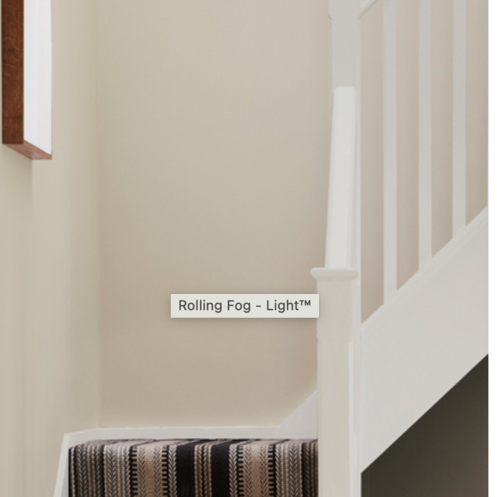 Farbe Rolling Fog light (271)– Sanftes Grau mit klarer Linie