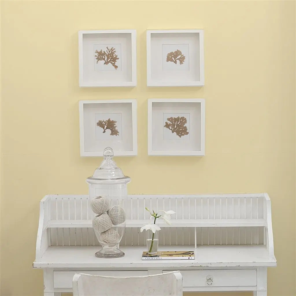 Designers Guild - Custard Cream No. 117 Farbe Designers Guild