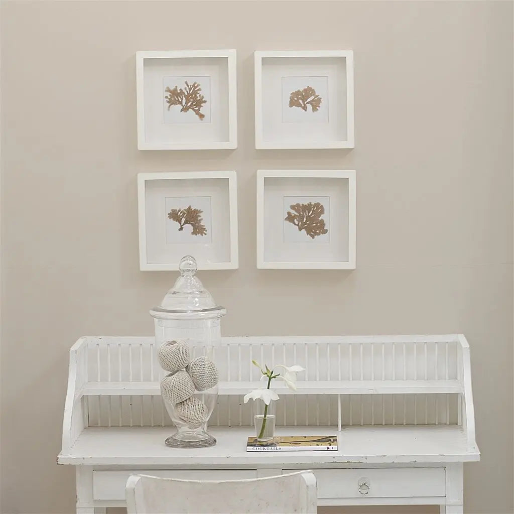 Farbe von Designers Guild - Pale Ash No. 12 Designers Guild