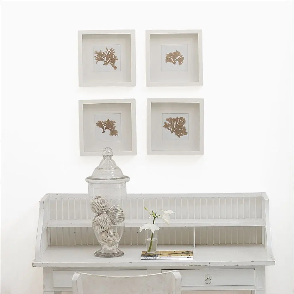 Farbe von Designers Guild - Pure White No. 1 Designers Guild