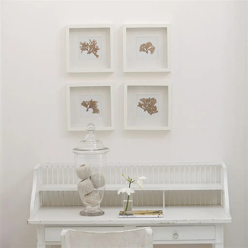 Farbe von Designers Guild - Snowdrift No. 6 Designers Guild