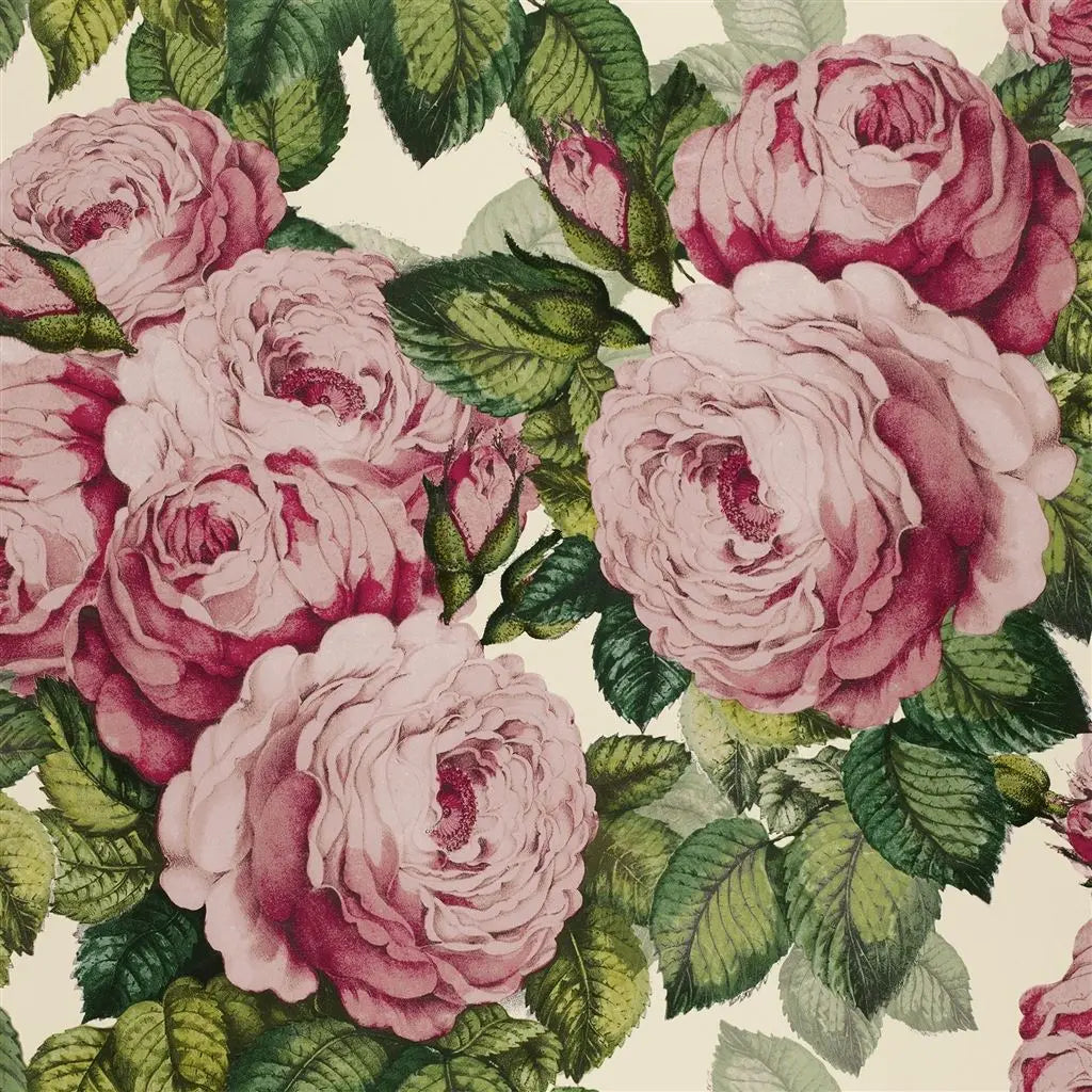 John Derian The Rose Tapete Designers Guild