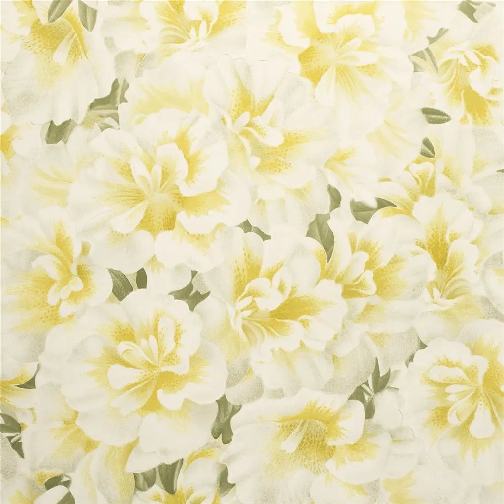 John Derian Variegated Azalea Tapete Designers Guild