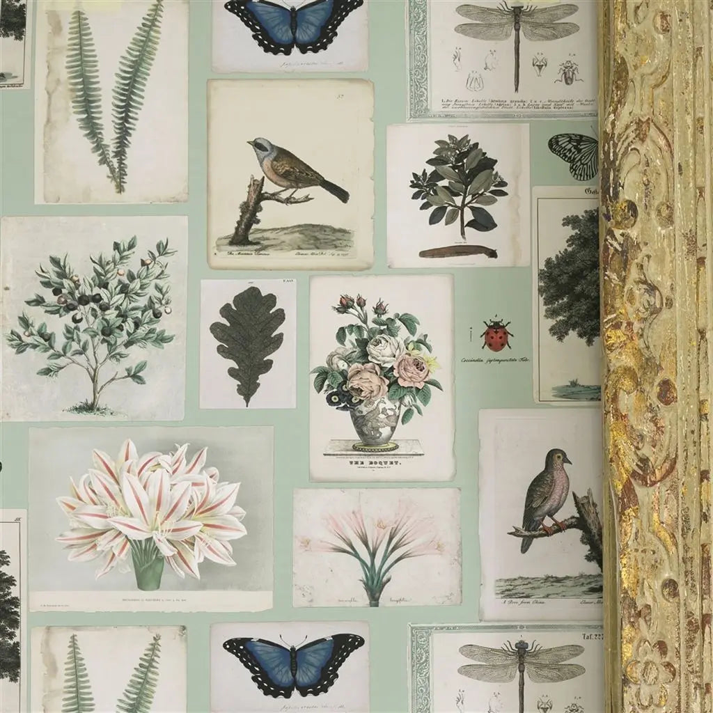 Tapete von John Derian: Flora And Fauna Designers Guild