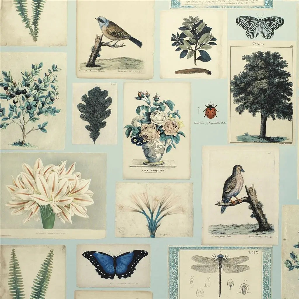 Tapete von John Derian: Flora And Fauna Designers Guild