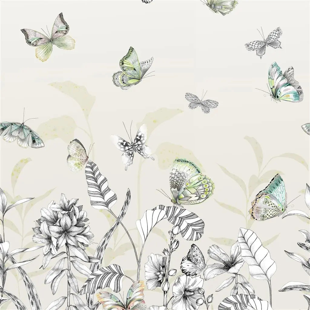 Tapeten von Designers Guild: Papillons Birch Designers Guild