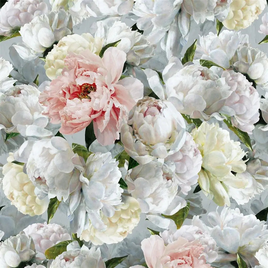 Tapeten von Designers Guild: Peonia Grande Zinc Designers Guild