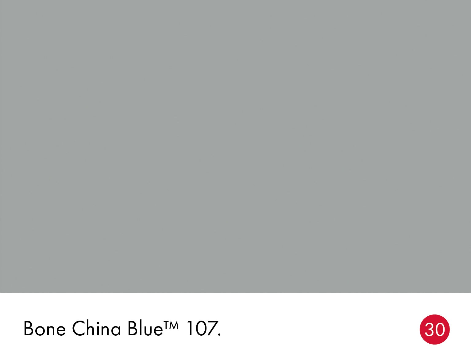 Bone China Blue(107)