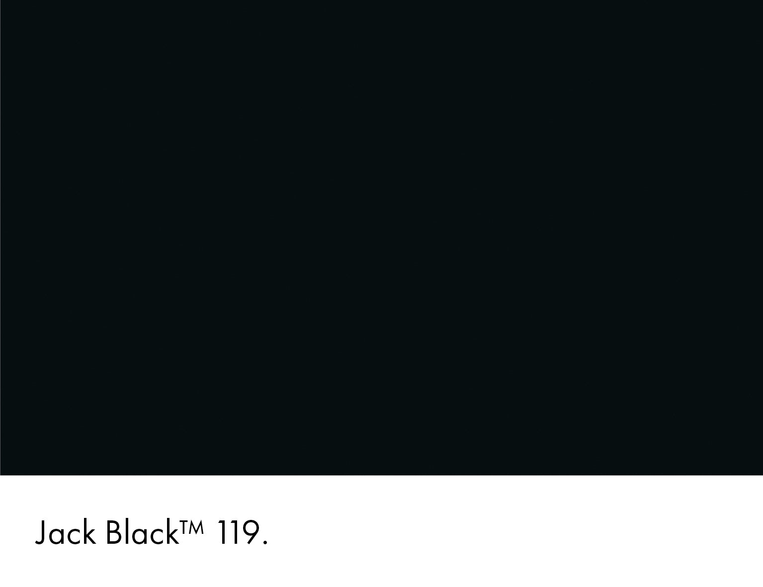 Jack Black (119)