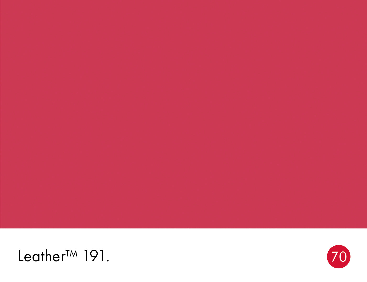 Leather (191)