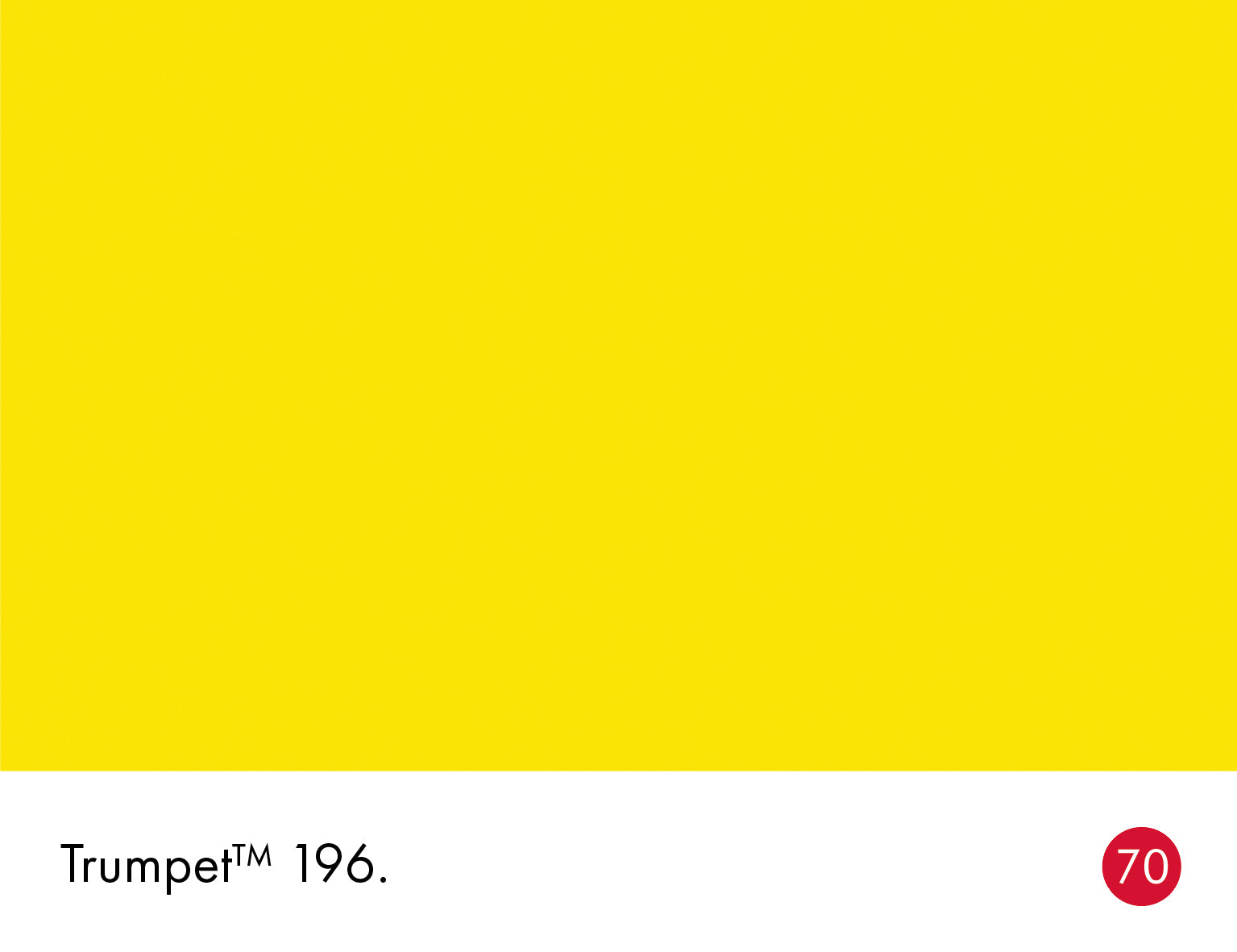 Trumpet (196)