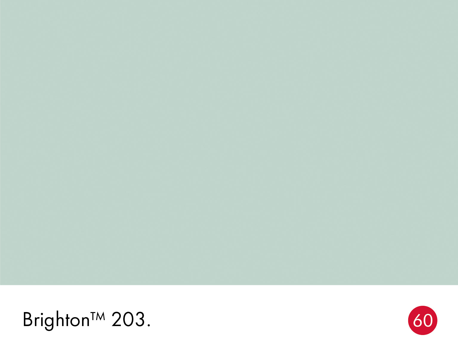 Brighton (203)