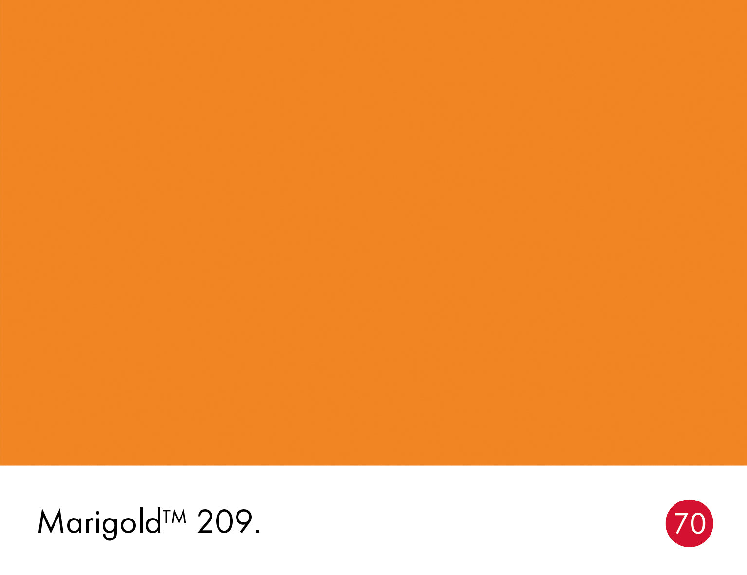 Marigold (209)