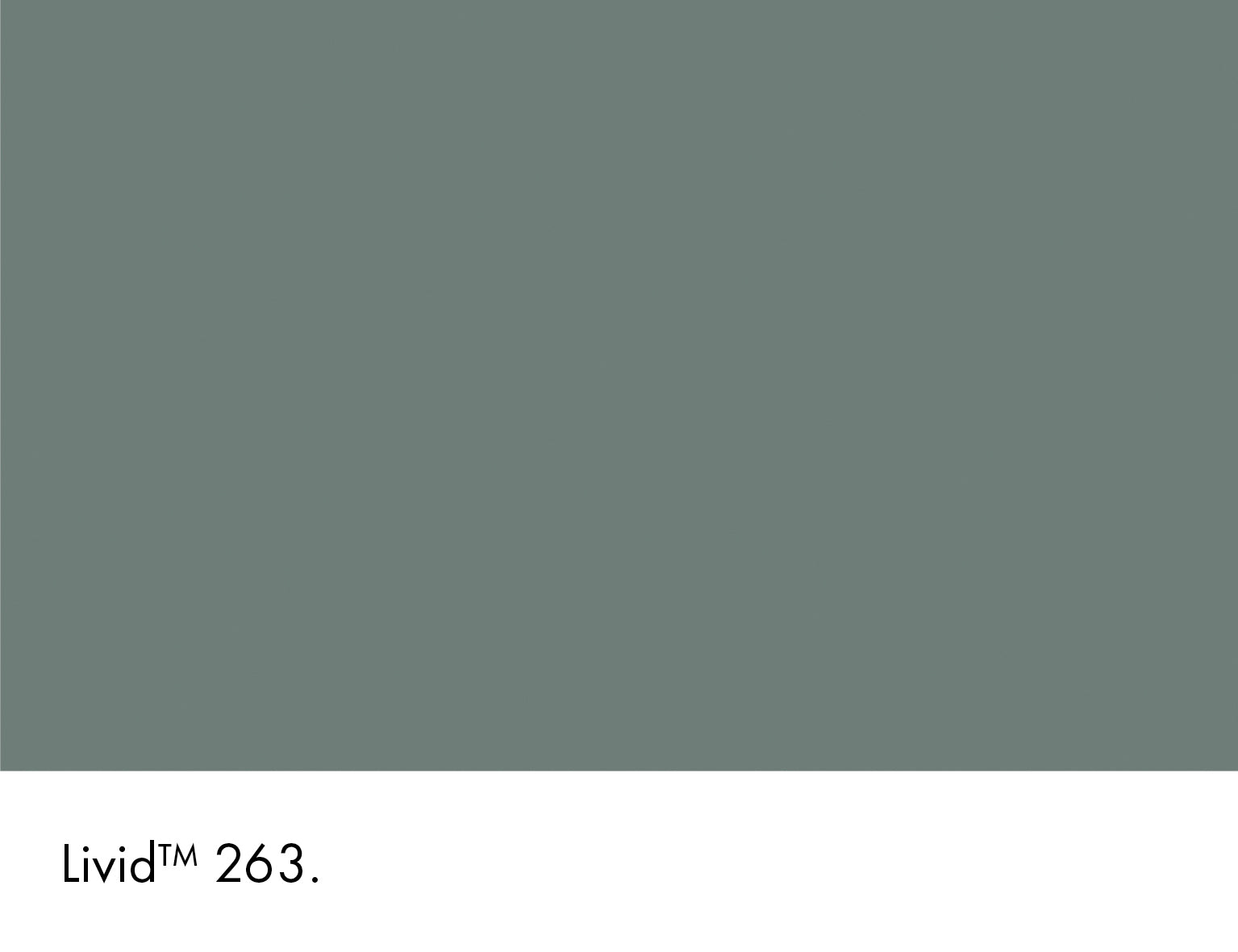 Livid (263)