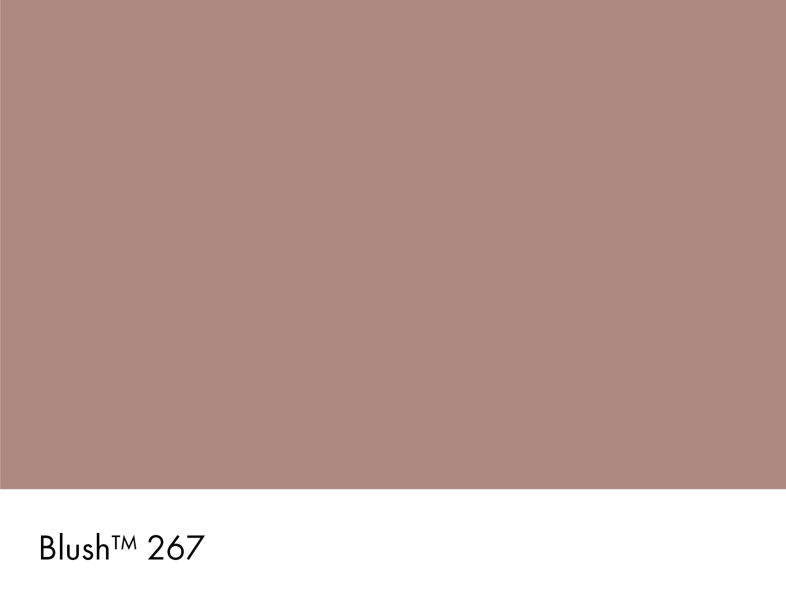 Blush (267)