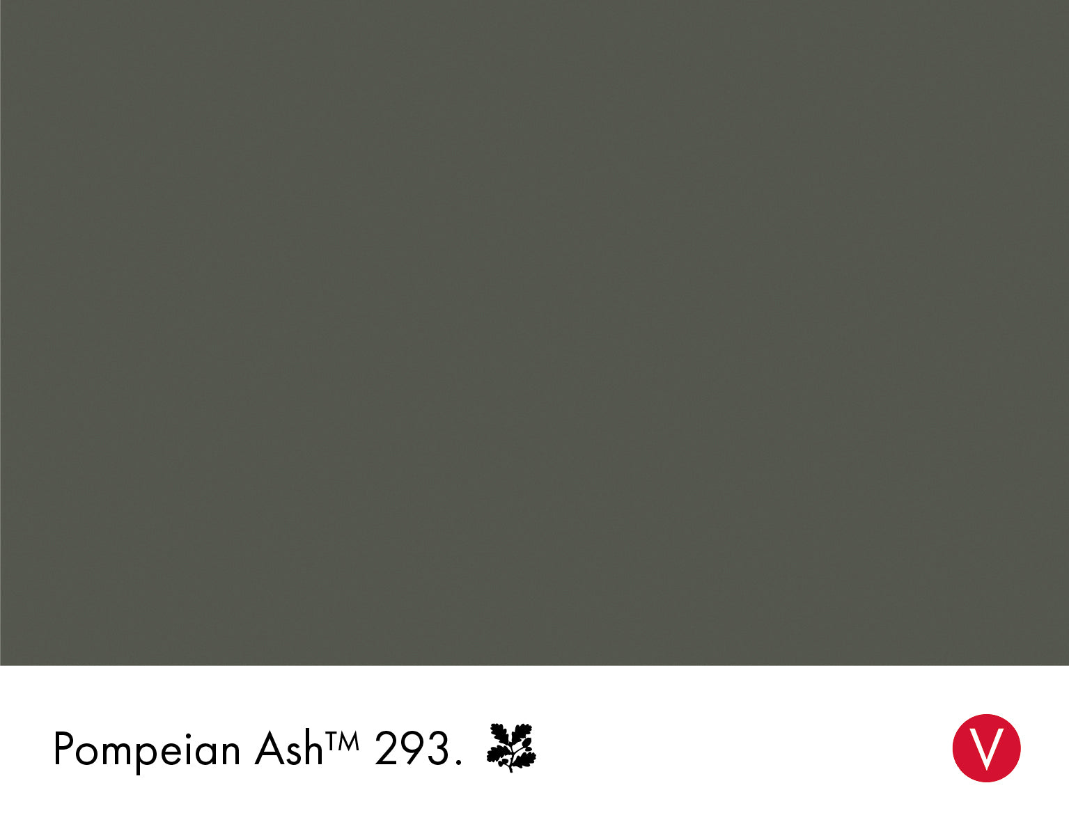 Pompeian Ash (293)