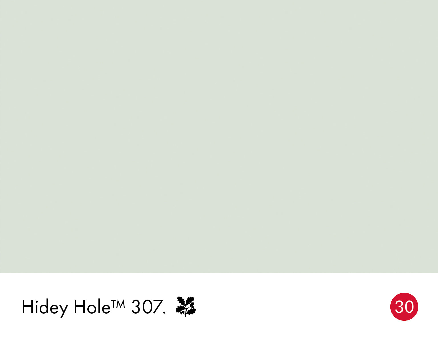 Hidey Hole (307)
