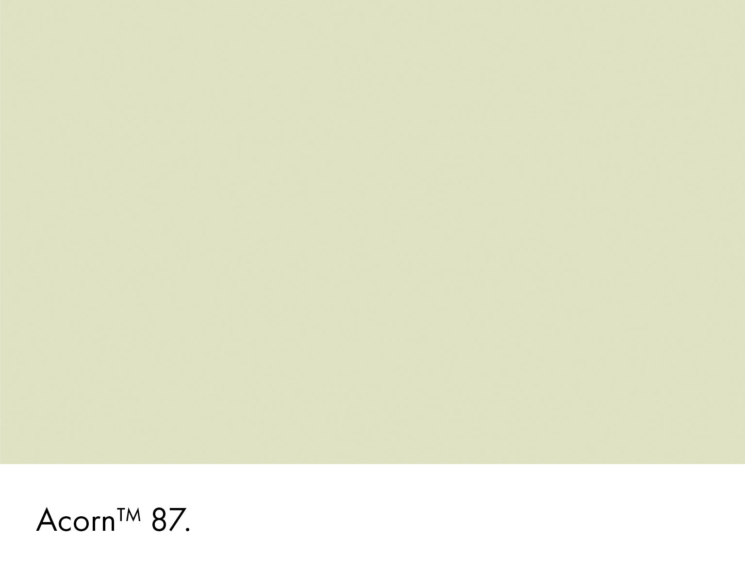 Acorn (87)