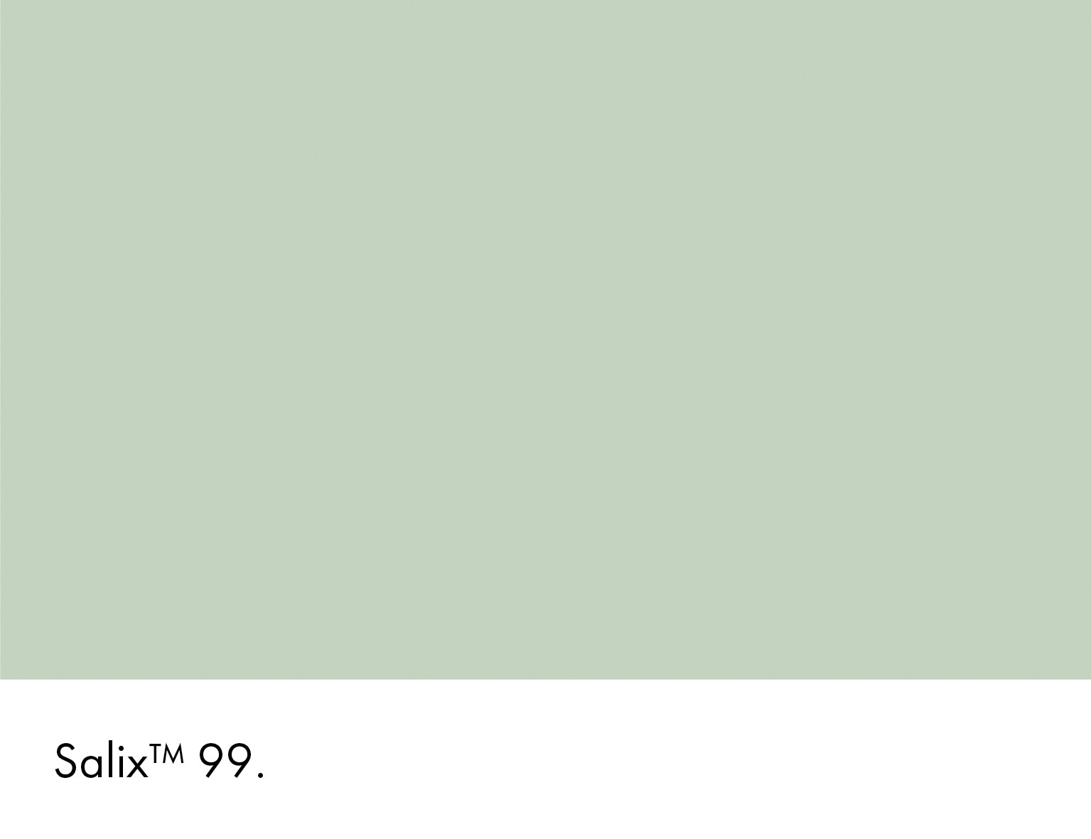 Salix (99)