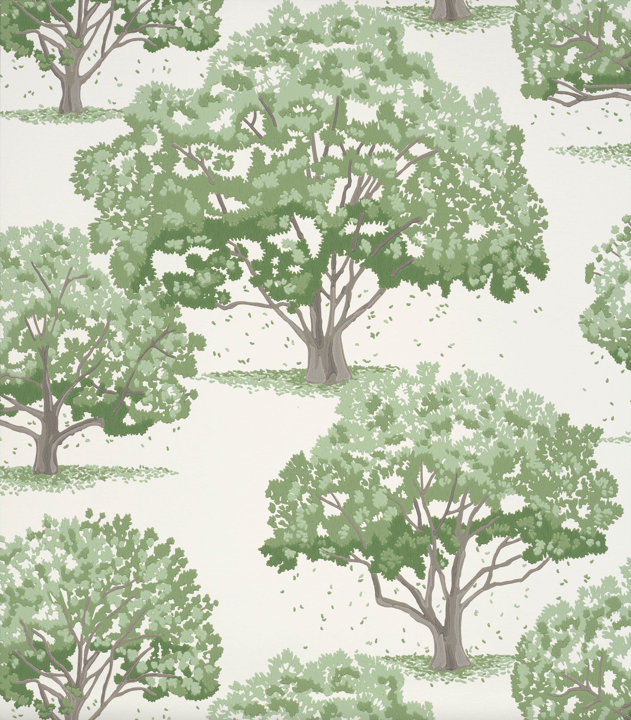 Magnolia Blossom – Magnolien Tapete, elegant & zeitlos - Raumtapeterie