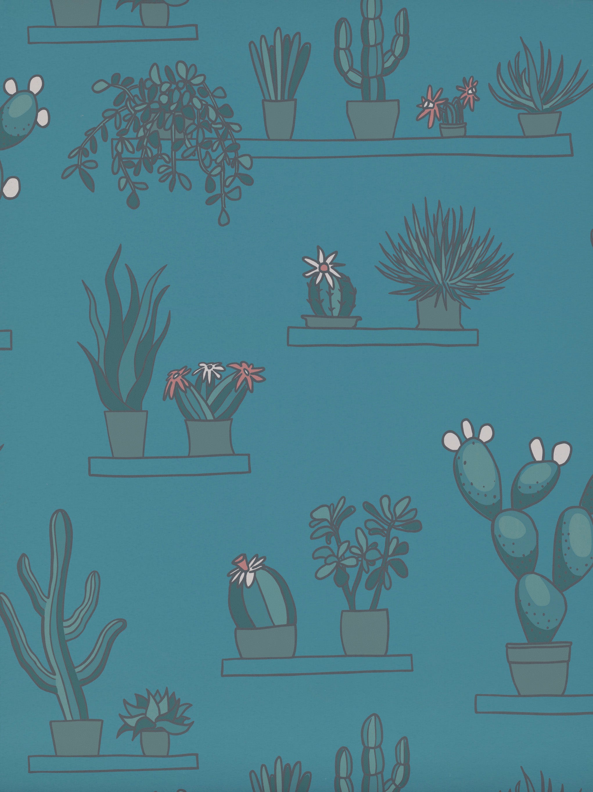 Mr Straw’s Greenhouse – Tapete mit Kakteen & Sukkulenten - Raumtapeterie