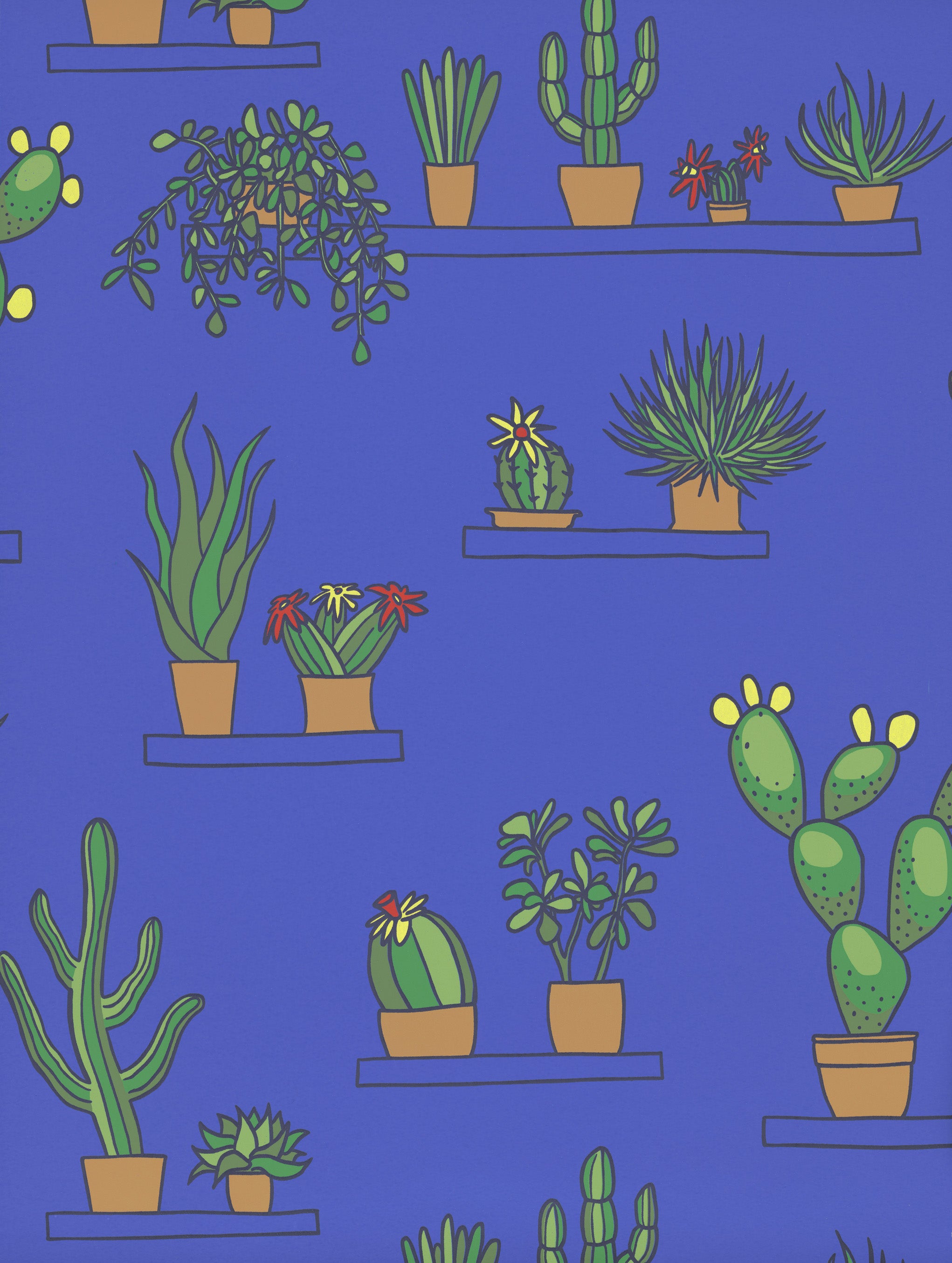 Mr Straw’s Greenhouse – Tapete mit Kakteen & Sukkulenten - Raumtapeterie