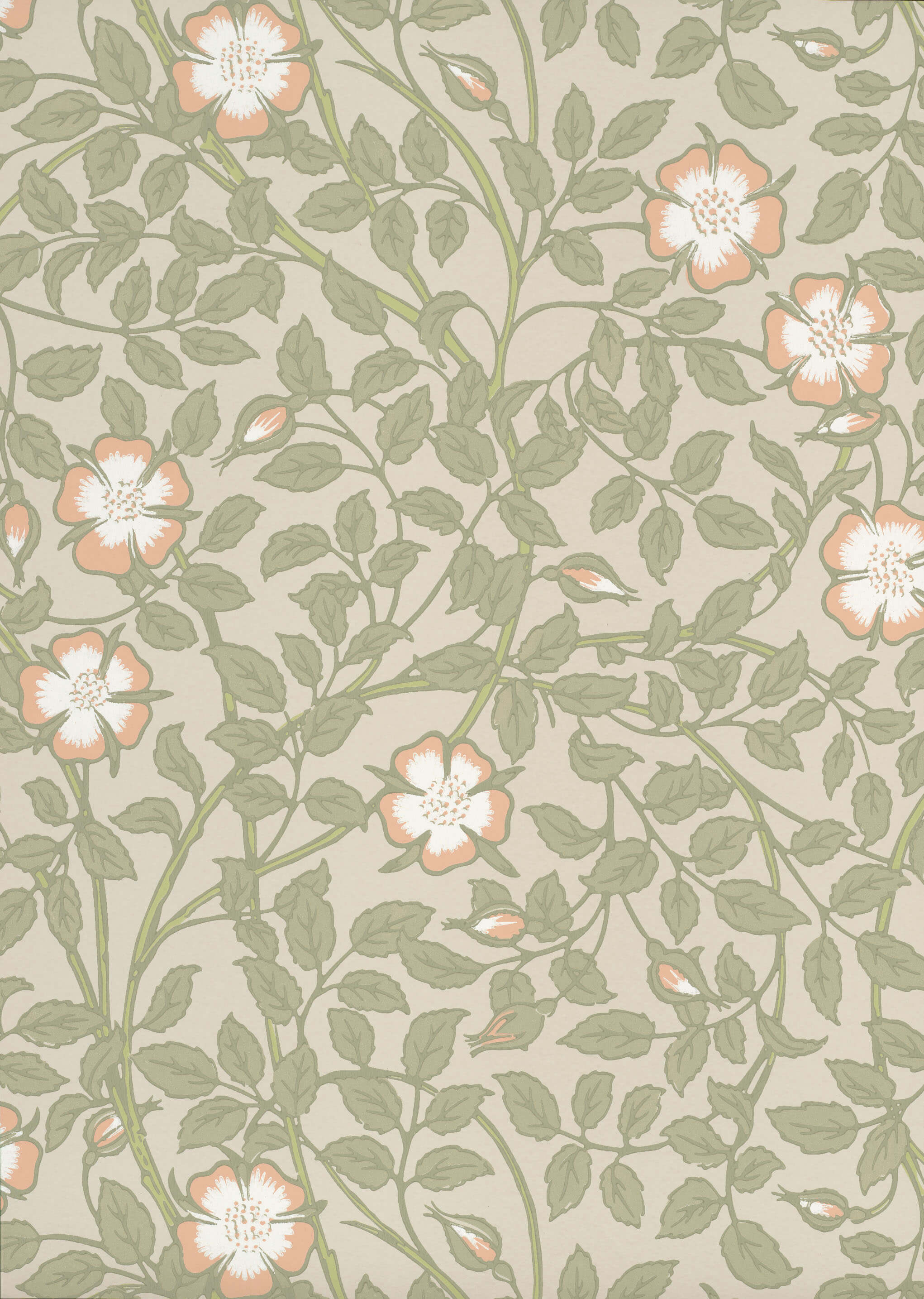 Tapete Briar Rose