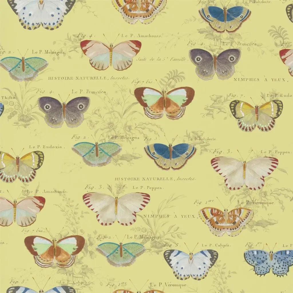 Tapete Butterfly Studies John Derian Designers Guild