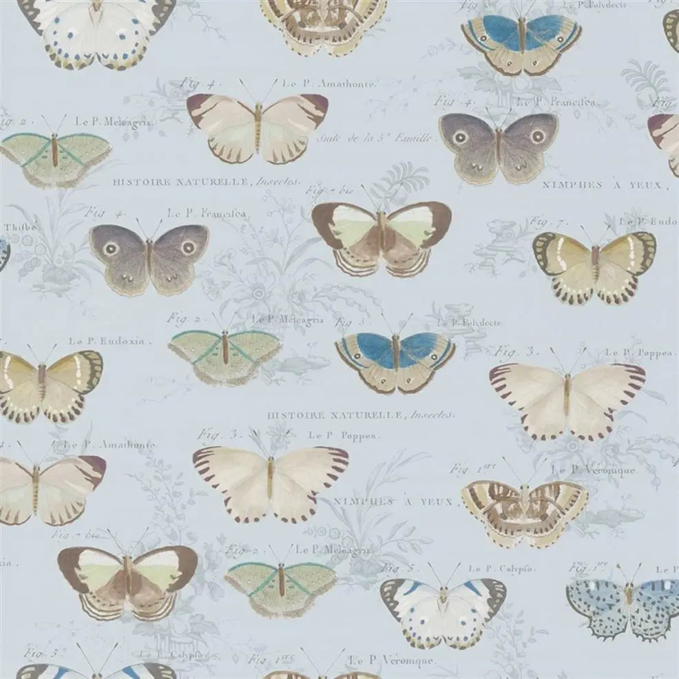 Tapete Butterfly Studies John Derian Designers Guild