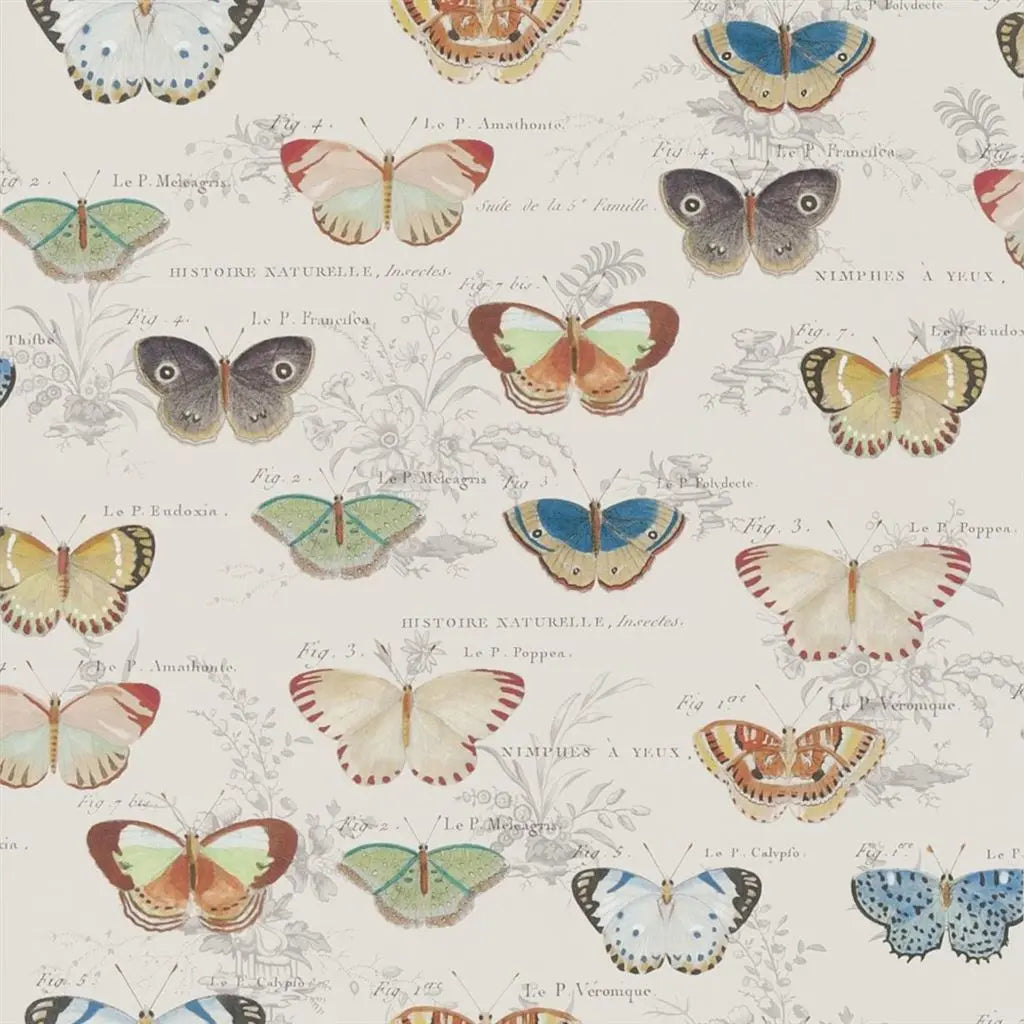 Tapete Butterfly Studies John Derian Designers Guild