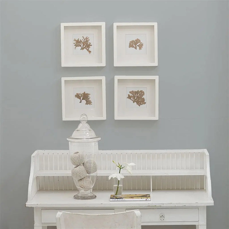 Designers Guild  - Moody Grey No. 40 Farbe Designers Guild
