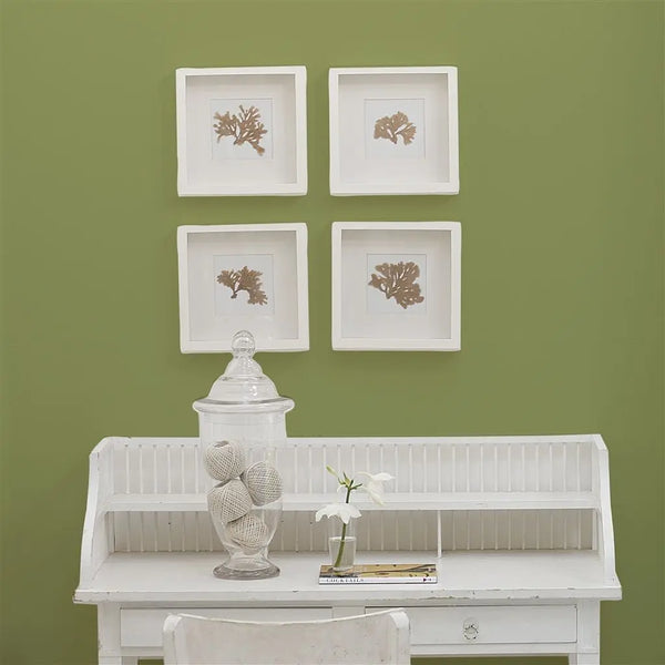 Designers Guild - Asparagus Fern No. 94 Farbe Designers Guild