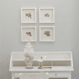 Designers Guild - London Dove No. 28 Farbe Designers Guild