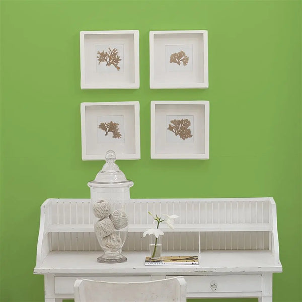 Designers Guild - Tg Green No. 99 Farbe Designers Guild