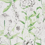 Designers Guild Emilie Tapete Designers Guild