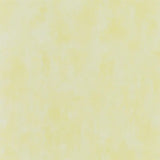 Designers Guild Parchment Tapete Designers Guild