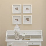 Farbe von Designers Guild  - Sandstone No. 8 Farbe Designers Guild
