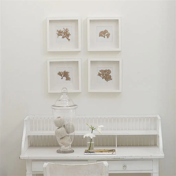 Farbe von Designers Guild - Alabaster No. 3 Farbe Designers Guild