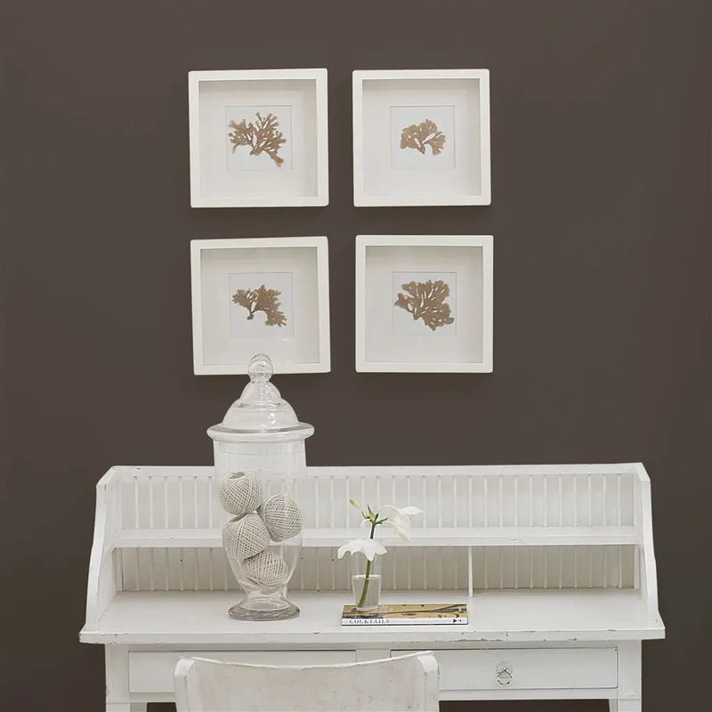 Farbe von Designers Guild - Cocoa Bean No. 15 Designers Guild