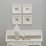 Farbe von Designers Guild - Concrete No. 35 Designers Guild
