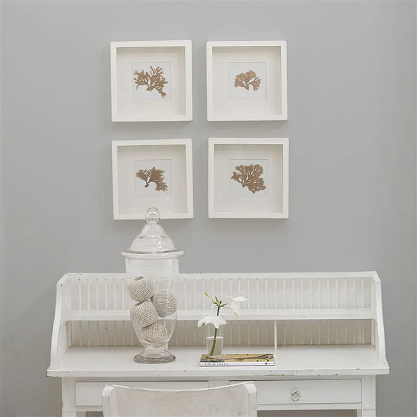 Farbe von Designers Guild - Concrete No. 35 Designers Guild