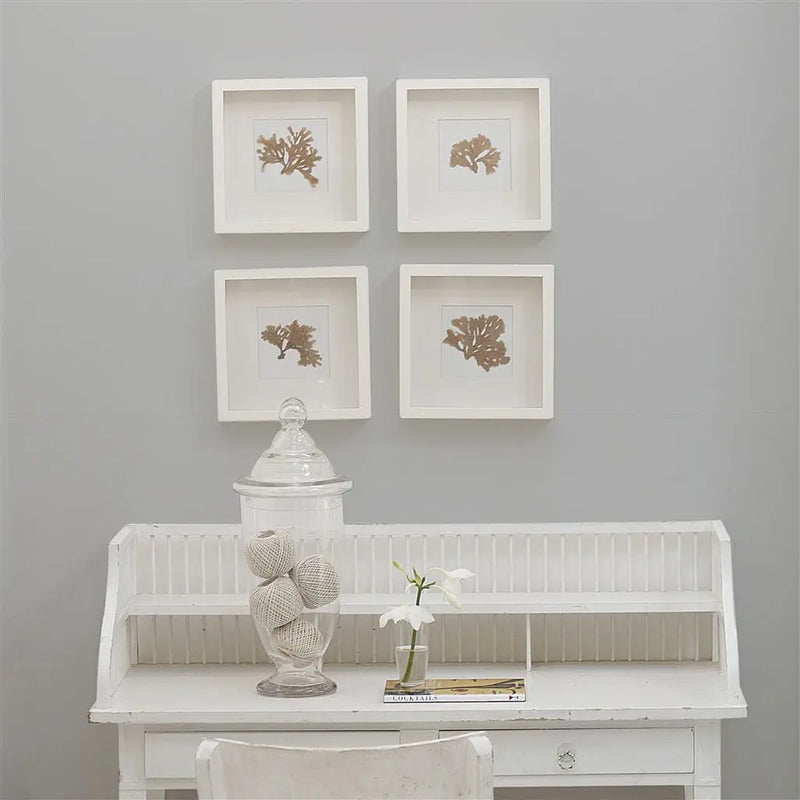 Farbe von Designers Guild - Concrete No. 35 Designers Guild